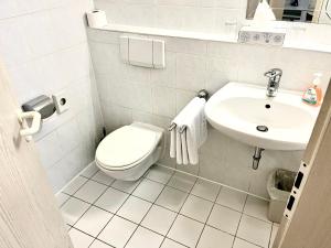 a small bathroom with a toilet and a sink at Hotel Garni Am Schäfersberg in Niedernhausen