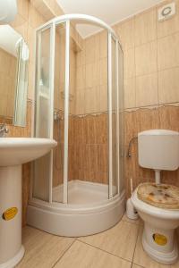 a bathroom with a shower and a toilet at Apartment Damir - Novalja in Novalja
