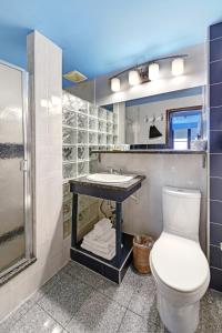 a bathroom with a toilet and a sink and a mirror at Chelsea Pines Inn in New York