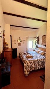 1 dormitorio con 1 cama grande en una habitación en Casa Amiata 2, en Montelaterone
