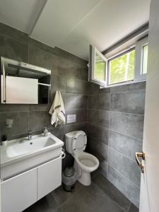 uma casa de banho com um WC, um lavatório e um espelho. em Vila Vista Magica Radozda em Struga