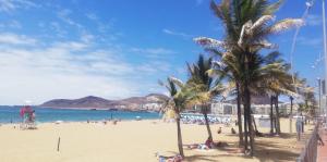 una spiaggia sabbiosa con palme e l'oceano di Apartamento corazon de Canteras a Las Palmas de Gran Canaria