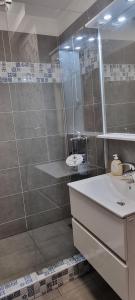 Koupelna v ubytování 1 Room Apartment Plopeni