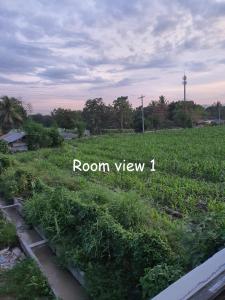 ジェネラル・サントスにあるMichel Family Filipina Hospitalityの「room view」と書かれた農作物の畑