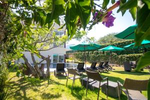 Zahrada ubytování Memora Hotel & Villas Chapala + 37 fotografií