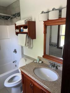 a bathroom with a sink and a toilet and a mirror at All Star Inn & Suites in Wisconsin Dells