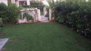 A garden outside Marassi marina 2