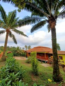 uma casa com palmeiras em frente em Pousadinha Mar Ave Ilha em Principe