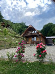 a small cabin with pink flowers in front of it at Chalets du BF in Sighişoara