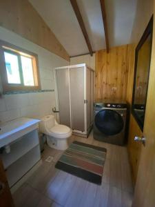 a bathroom with a toilet and a washing machine at Vista verde Llonquén in Liquiñe