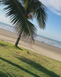 eine Palme am Strand mit dem Meer in der Unterkunft Pousada e Espaco AURORA Peruibe in Peruíbe