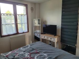 TV a/nebo společenská místnost v ubytování Charmante chaumière au coeur de la Brière