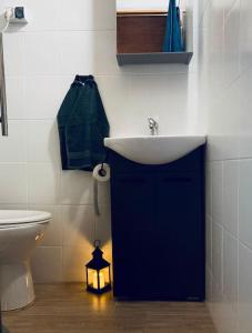 ミエンジブロジェ・ビャルスキエにあるDom pod Żaremの洗面台とトイレ付きのバスルーム