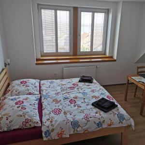 1 dormitorio con cama con edredón en VilaPavlov, en Pavlov