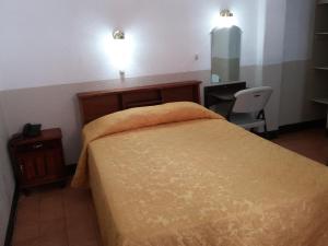 Postel nebo postele na pokoji v ubytování Hotel Centenario
