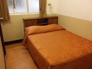 Postel nebo postele na pokoji v ubytování Hotel Centenario
