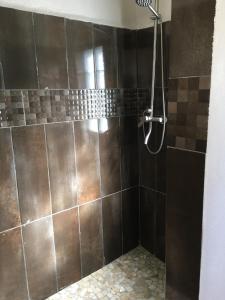 的住宿－LE SERENITY LODGE，棕色瓷砖墙淋浴