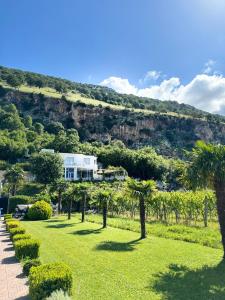 a house on the side of a mountain with palm trees at Vila Horizont in Baks-Rrjoll