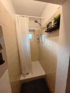 La salle de bains est pourvue d'une douche avec rideau de douche. dans l'établissement Tumova koča na Slavniku, à Podgorje