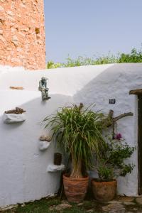 Vonkajšia záhrada v ubytovaní Can Quince Balafia Ibiza Hotel - Turismo de Interior