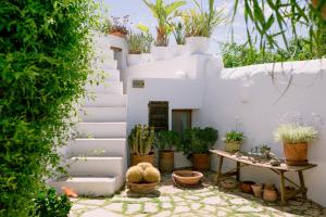 Vonkajšia záhrada v ubytovaní Can Quince Balafia Ibiza Hotel - Turismo de Interior