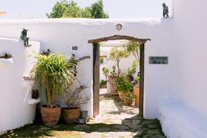 Vonkajšia záhrada v ubytovaní Can Quince Balafia Ibiza Hotel - Turismo de Interior