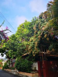 Fotografie z fotogalerie ubytování Boutique House Nipha v destinaci Chiang Mai