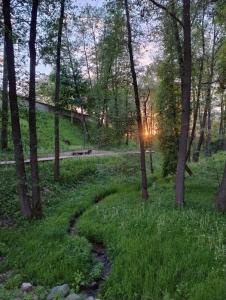 a path through a forest with the sun shining through the trees at Vytenio22- 2 bedrooms in Prienai