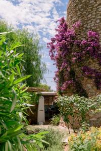 Vonkajšia záhrada v ubytovaní Can Quince Balafia Ibiza Hotel - Turismo de Interior