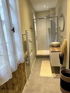 une salle de bain avec une douche en verre et un lavabo dans l'établissement Appart familial hyper centre Troyes, à Troyes