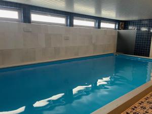 a swimming pool with polar bears in the water at Peters Aparthotel in Goslar