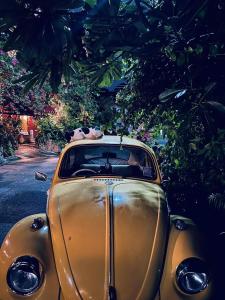 Fotografie z fotogalerie ubytování Boutique House Nipha v destinaci Chiang Mai