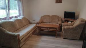 - un salon avec deux canapés et une télévision dans l'établissement Medif apartments, à Visoko