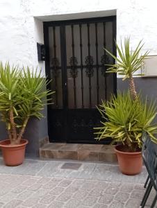 a black door with two potted plants in front of it at Apartamento Irene 1 in Caravaca de la Cruz