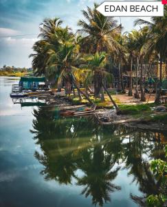 un grupo de palmeras y un cuerpo de agua en The Elite Beachview en Pondicherry