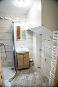 W łazience znajduje się umywalka i prysznic. w obiekcie Domek pod lasem w mieście Mizerna