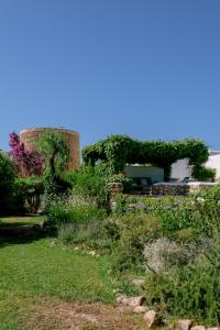 un jardín con hiedra creciendo en un edificio en Can Quince de Balafia - Turismo de Interior en Sant Llorenç de Balàfia