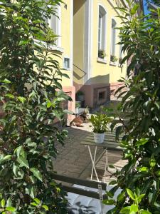 Zahrada ubytování DK Hotel Heidelberg