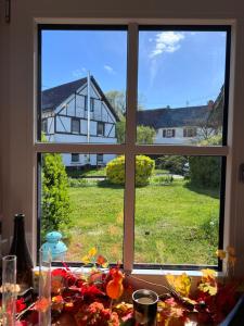Zahrada ubytování B&B RingLodge