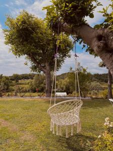 een witte touwschommel hangend aan een boom bij Holiday Home Sovenigo in Puegnago