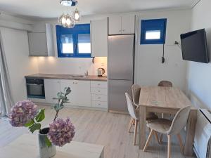 Η κουζίνα ή μικρή κουζίνα στο Aegean Apartments Evia