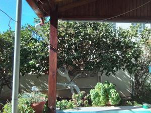 a view of a garden with a tree and some plants at Studios Sevasti in Emborios