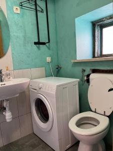 uma casa de banho com uma máquina de lavar roupa e um lavatório em Hisa Suzana em Črnomelj