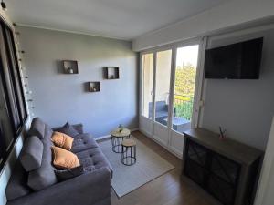 TV a/nebo společenská místnost v ubytování Appartement Talant