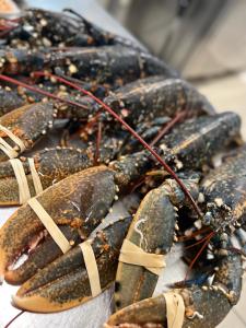 Fotografie z fotogalerie ubytování Hôtel 2 étoiles et Restaurant Le Galet Bleu v destinaci Fouras