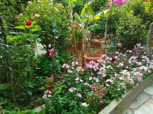 a garden filled with flowers and plants at Studios Sevasti in Emborios
