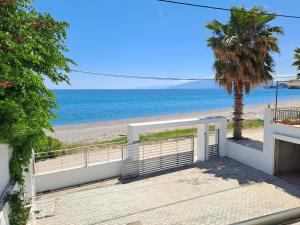 Φυσικό τοπίο κοντά σε αυτό το διαμέρισμα