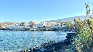 a view of a body of water with houses at Caleta Blue Ocean on the Beach by Deihu Experiences in Adeje