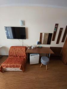 Телевизия и/или развлекателен център в Guest House Skalite