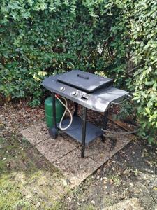 Ein Garten an der Unterkunft MOBIL HOME 43 dans Camping 4 Etoiles